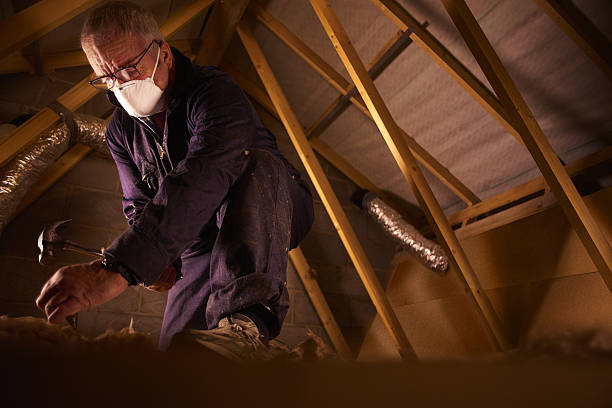 Best DIY Insulation Kits and Guidance in Columbia, PA